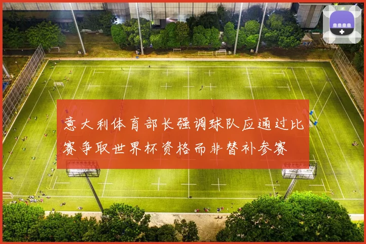 意大利体育部长强调球队应通过比赛争取世界杯资格而非替补参赛